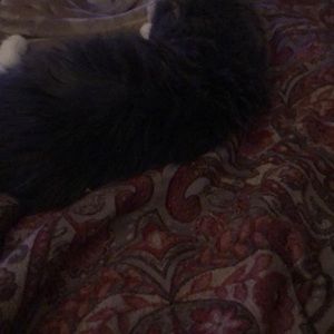 Meet your Posher, Traci